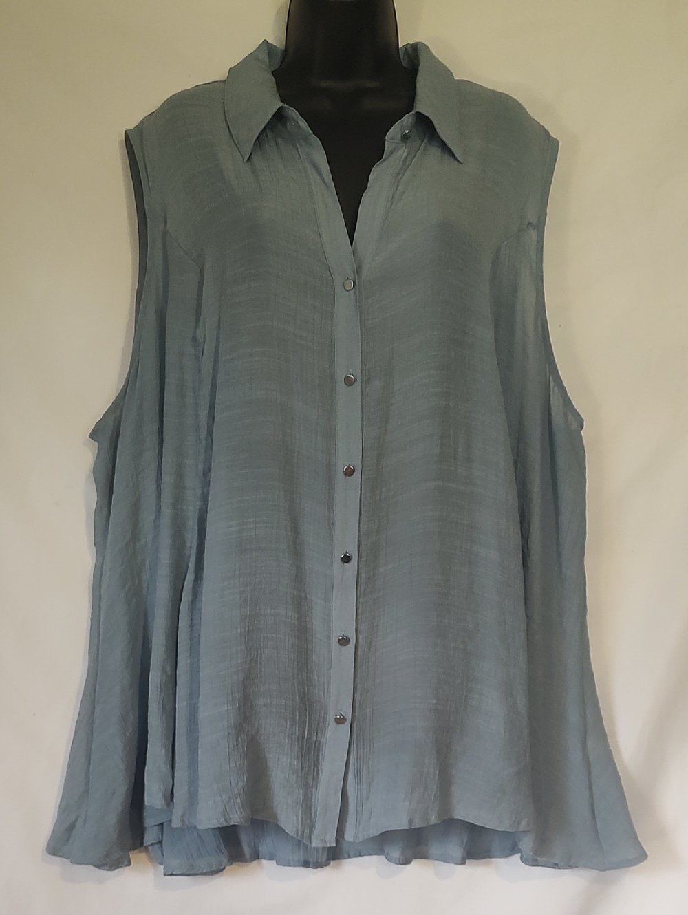 Women's Sleeveless Button-Front Blouse - Light Blue